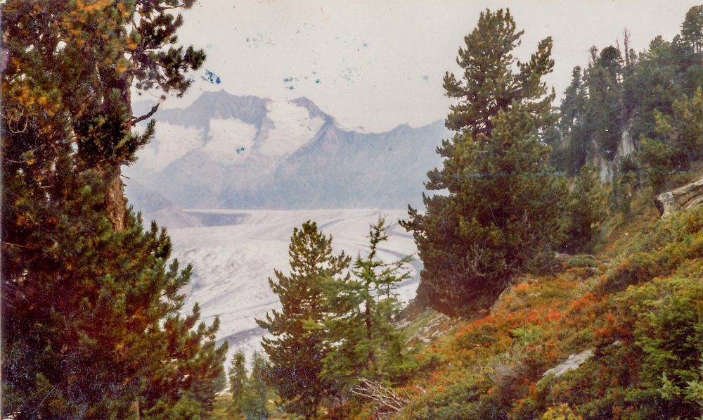 view-on-aletschgletscher